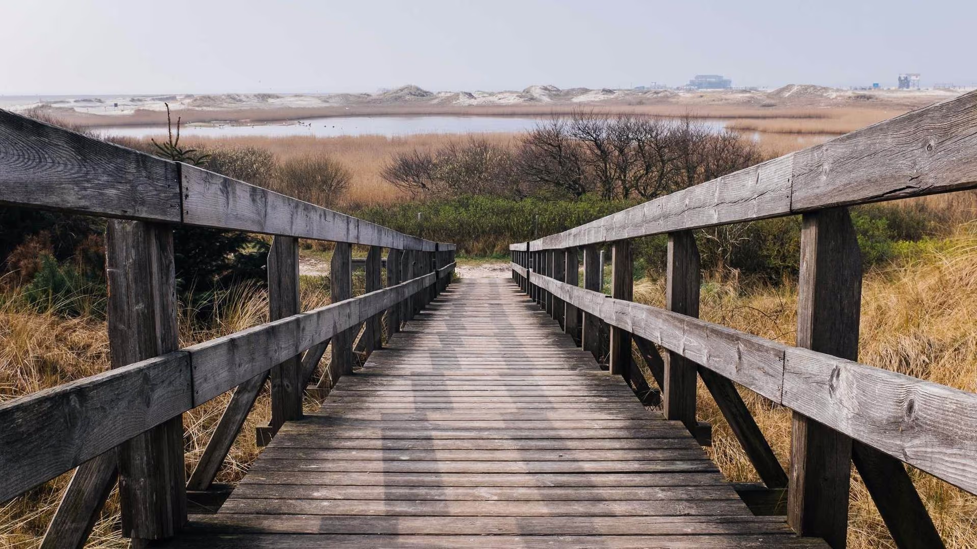 UI UX Designer Freelancer arbeitet remote an SaaS Dashboard Design in Figma mit Design System Komponenten für DACH-Kunden