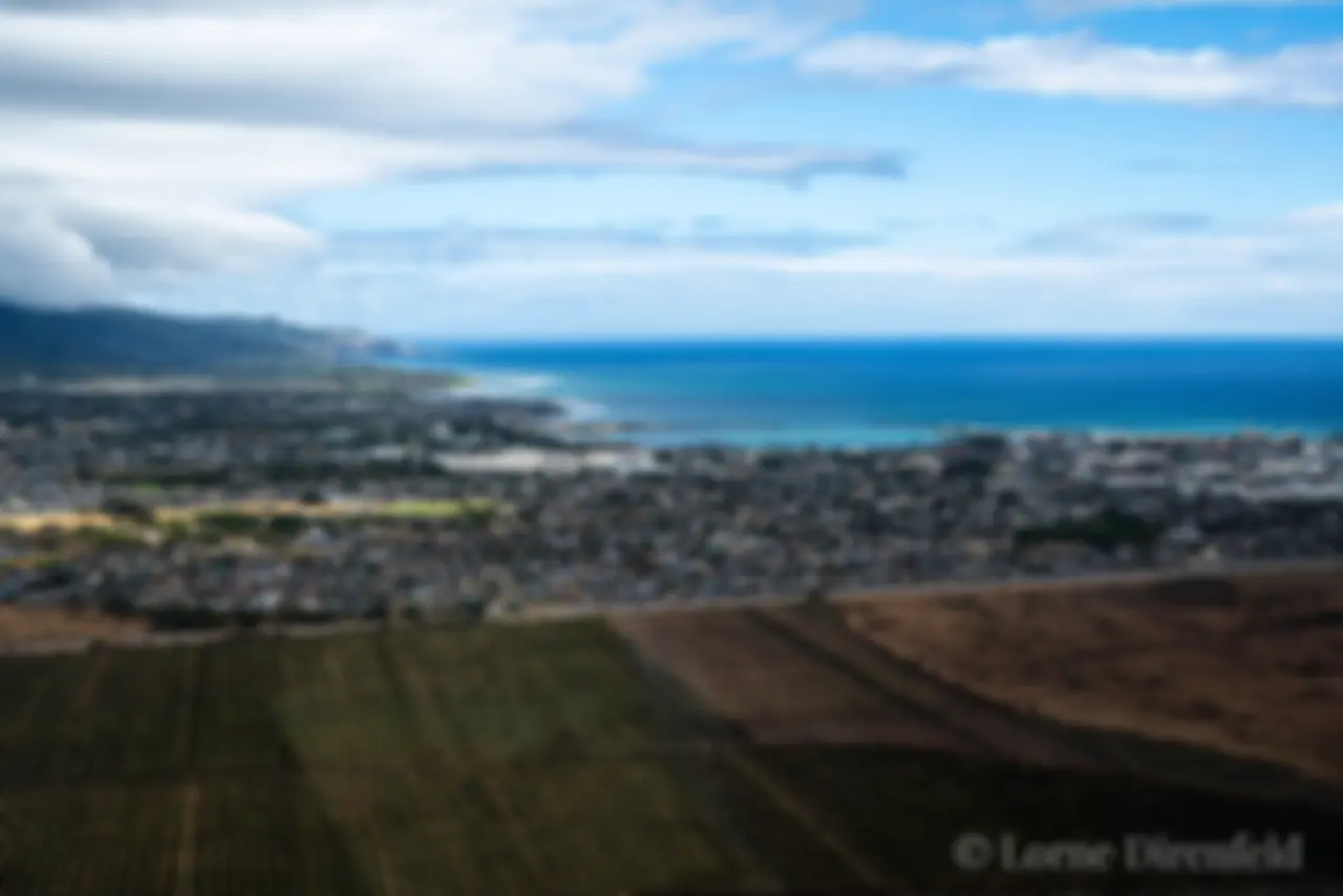 Looking to the northwest and Kahului harbor, with the newly planted fields of Mahi Pono farming company in the foreground . . .