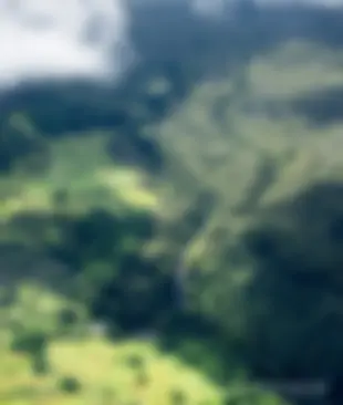 There are numerous waterfalls on the east side of the Big Island, where it is lush and often rainy; Akaka Falls is more than 400 feet tall . . .