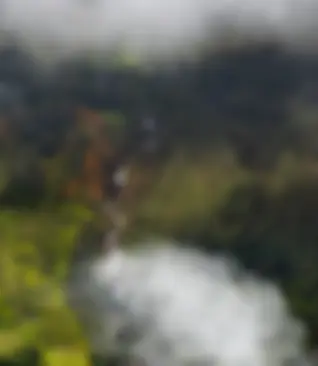 Peering through the clouds on the Hamakua coast, and seeing magic!
