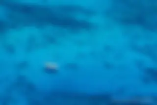 The surfers appear as small dots on the ocean as a sail boat hangs out in the morning in the shimmering blue waters off Waikiki . . .