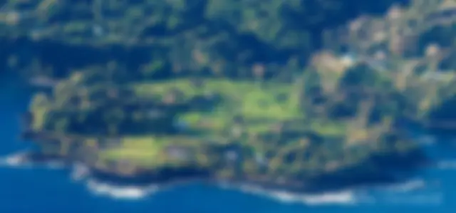 Keanae Peninsula, Maui, where taro is grown . . .
