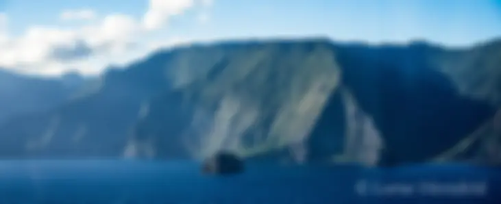 The north shore cliffs of Molokai are reportedly the highest sea cliffs in the world . . . I always look for dinosaurs as I fly by these remote valleys; so far nothing . . .