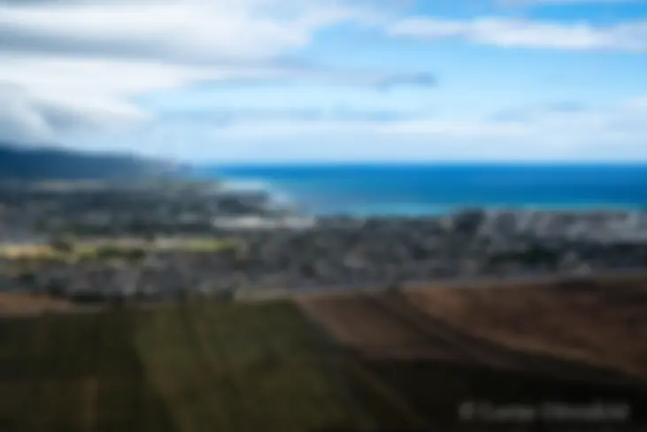 Looking to the northwest and Kahului harbor, with the newly planted fields of Mahi Pono farming company in the foreground . . .