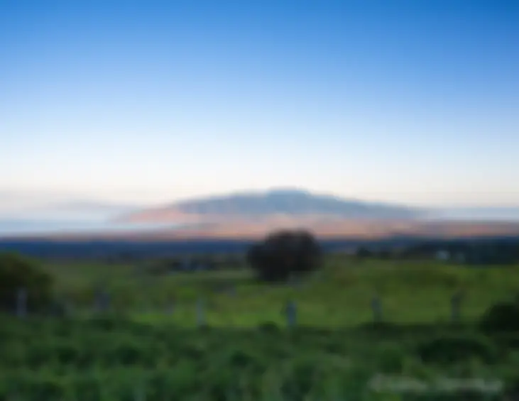 The sun is rising on Maui, the valley fills with light . . . We see the ocean to the north and south, with Lanai in the distance . . .